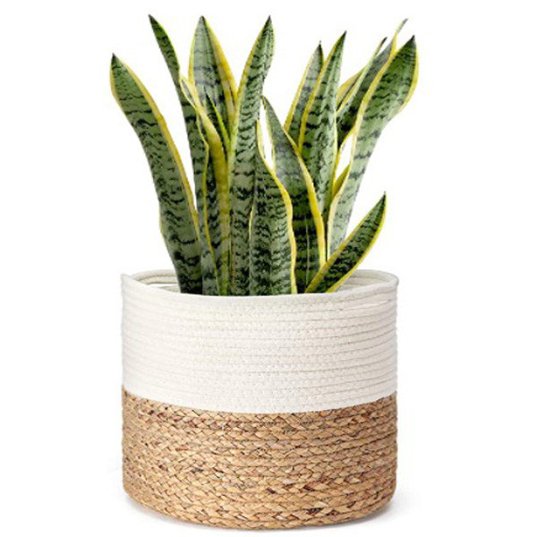 panier tissé 10" 12" de panier d'usine de corde de coton planteurs d'intérieur de plancher de pot de fleur pour le décor à la maison