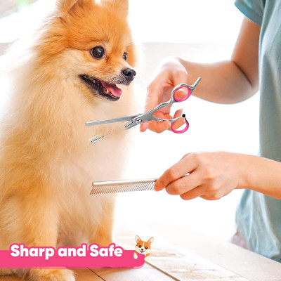 6 dans des ciseaux Kit With Safety Round Tips de 1 d'acier inoxydable toilettage de chien