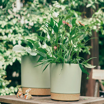 Pots en plastique d'intérieur de plante verte avec les trous de drainage et la base démontable