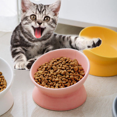 Animal familier élevé en céramique multicolore de Cat Bowls Elevated Porcelain For