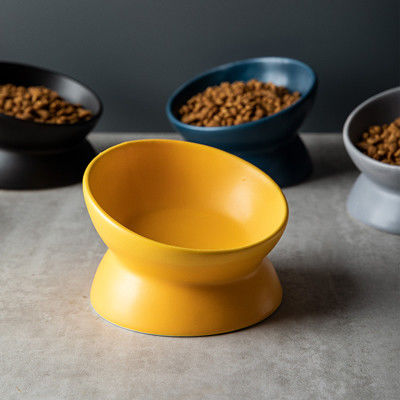 Animal familier élevé en céramique multicolore de Cat Bowls Elevated Porcelain For