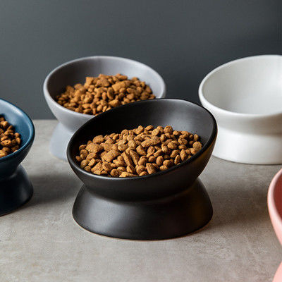 Animal familier élevé en céramique multicolore de Cat Bowls Elevated Porcelain For