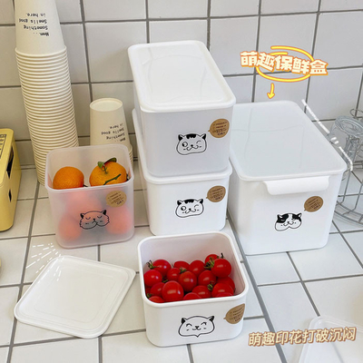 La cuisine en vrac en plastique fournit des conteneurs de fruits et légumes pour le réfrigérateur